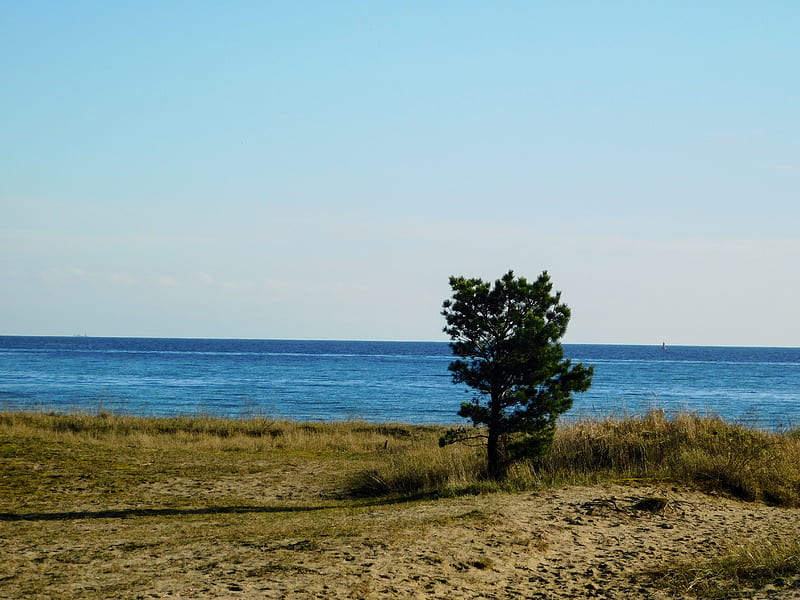 Meerblick, beach, meer, ostsee, strand, urlaub, HD wallpaper