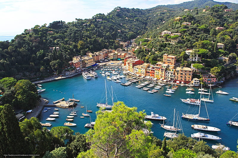 Portofino Harbor, Italy, forest, boats, harbour, mountains, houses ...