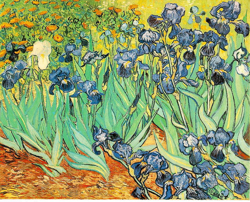 Irises by Van Gogh, painting, flowers, irises, van gogh, HD wallpaper