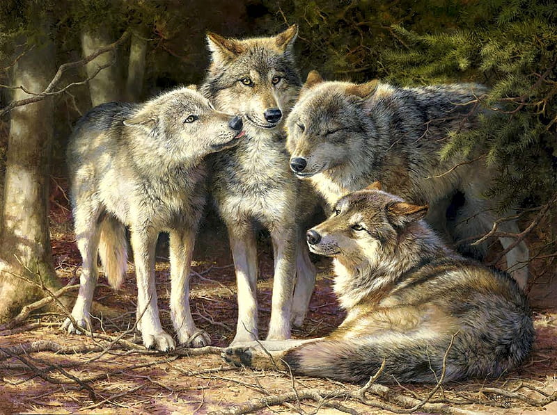 Lazos familiares, depredadores, manada de lobos, pintura, lobos, obra de  arte, Fondo de pantalla HD | Peakpx