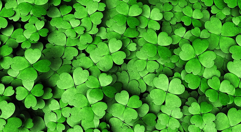 Four-leaf clover, grass, clover, green, St Patricks day, nature, luck, HD wallpaper