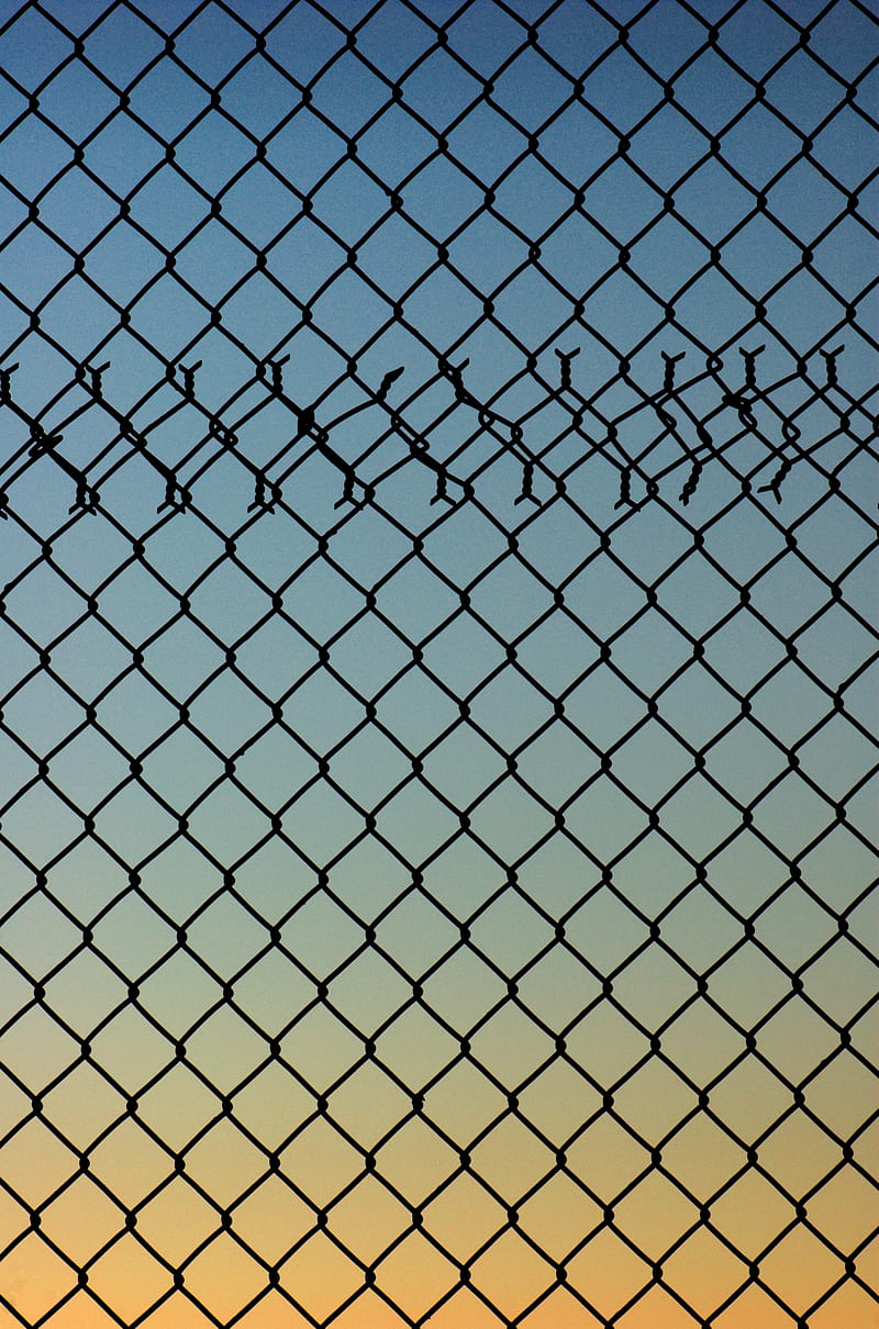 mesh, fence, metal, gradient, HD phone wallpaper