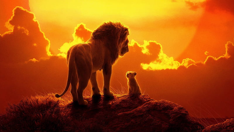 The Lion King, movie, cub, sunset, son, father, poster, orange, leu, cute, HD wallpaper