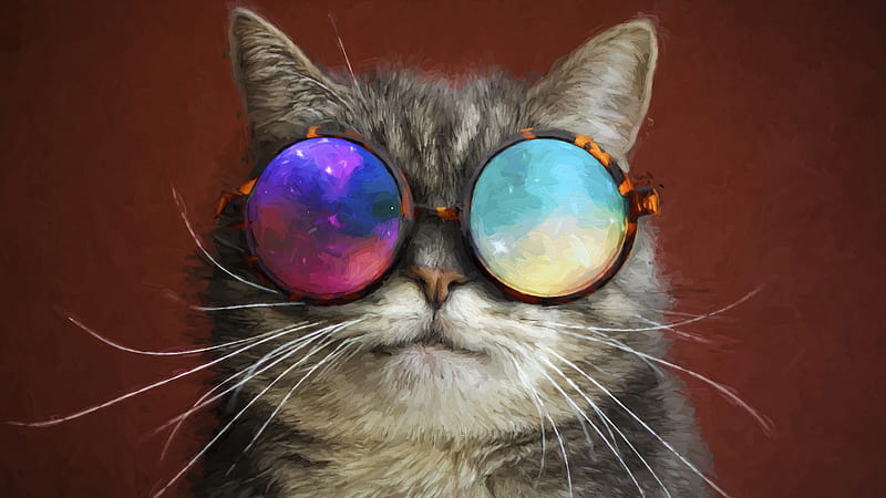 cool cat, artwork, glasses, whisker, Animal, HD wallpaper
