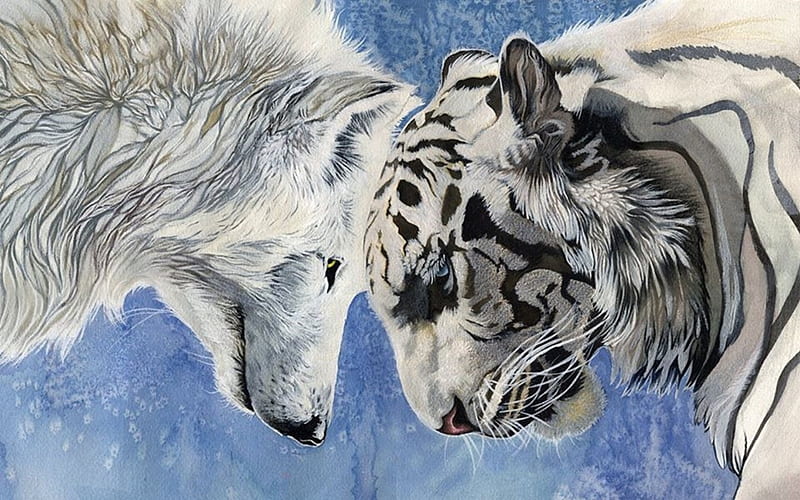 exilio evitar mendigo Arte de lobo y tigre, tigre, arte, pintura, naturaleza, lobo, animales,  lobos, Fondo de pantalla HD | Peakpx