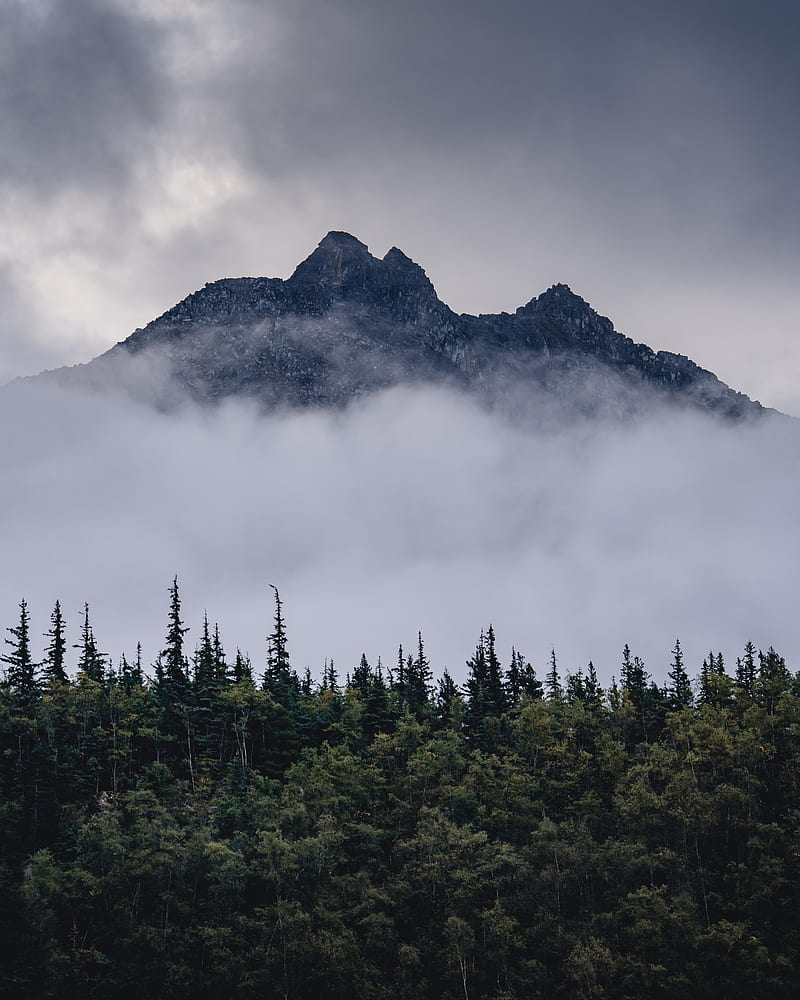 mountain, clouds, fog, trees, landscape, HD phone wallpaper