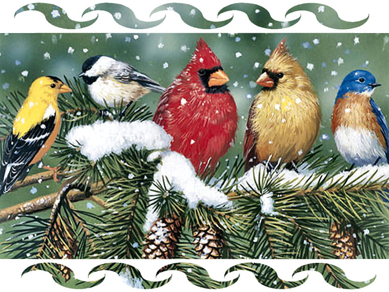 Cardinals and Friends - Birds F2, art, artwork, animal, winter, bird, snow, avian, vanderdasson, painting, wildlife, ice, pinecones, HD wallpaper