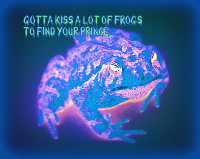 Finding that frog, colorful, frog, ribbit, funny, HD wallpaper