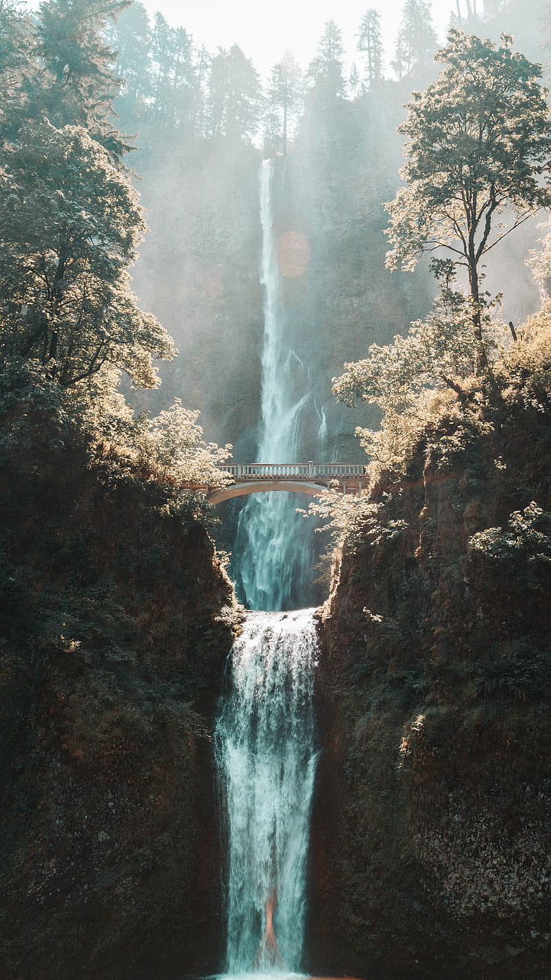 Multnomah, Bridge, Nature, PNW, Portland, Samsung, Sony, Sun, Trees, Water, Waterfall, love, andorra, anime, art, bonito, black, canon, connorchristopher, forrest, fortnite, funny, iOS, iPhone, landscape, love, minions, moody, queen, sad, still, weird, woods, wow, HD phone wallpaper