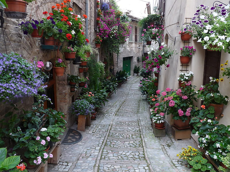 beautiful street, houses, flowers, bonito, old, street, HD wallpaper