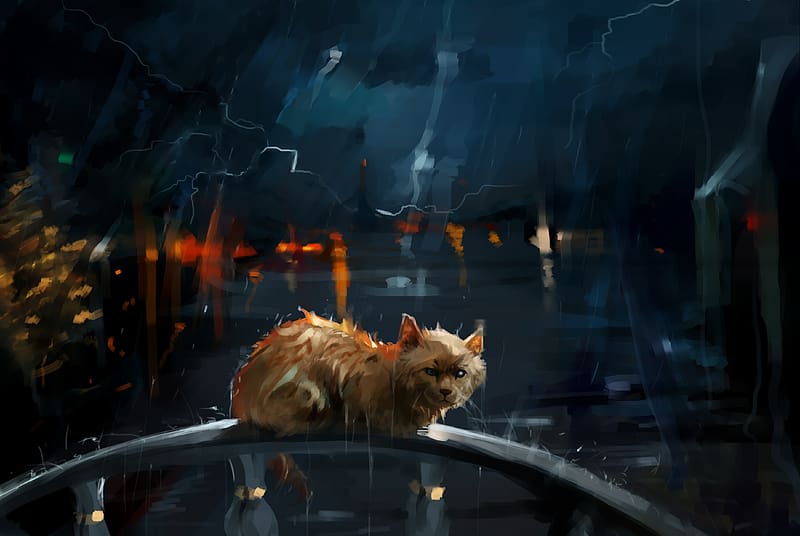 Rain, Night, Cat, Painting, Storm, Artistic, HD wallpaper | Peakpx