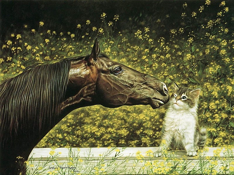 Friends forever, nature, cat, horse, kitten, run, animal, HD wallpaper