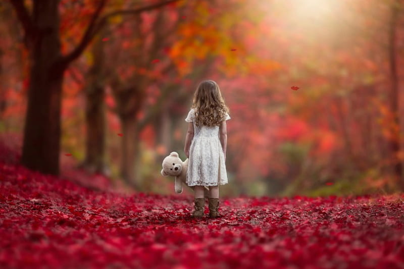 Never Alone, leaves, girl, woods, beauty, nature, teddy bear, trees, HD wallpaper