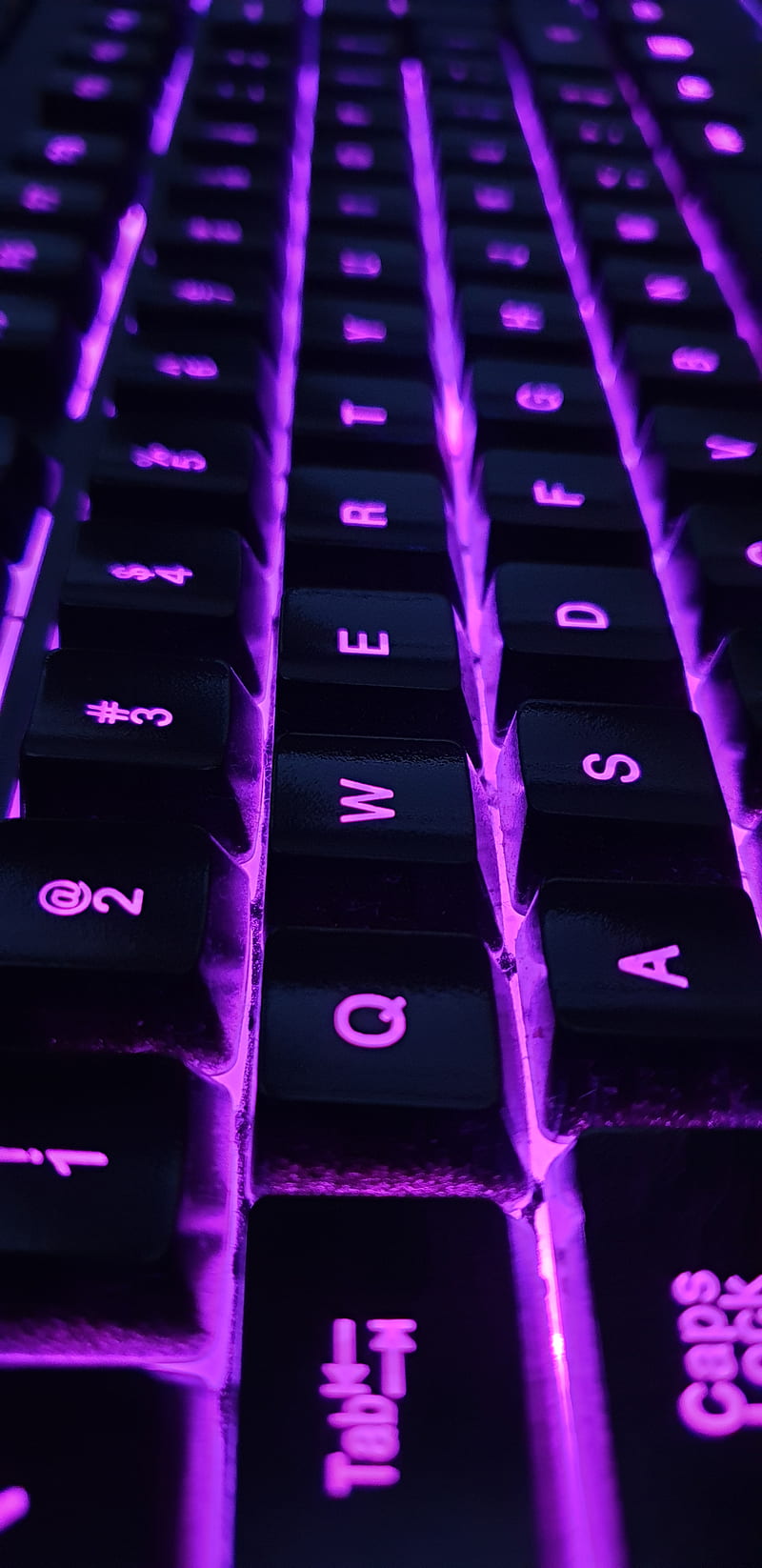 Purple Keyboard, purplea, keyboard, it, technology, qwerty, HD phone wallpaper