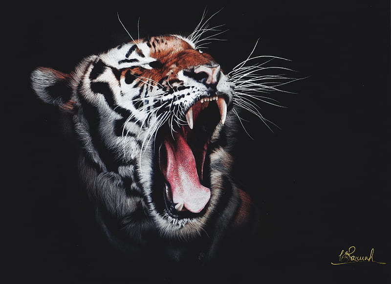Tiger Roar, tiger, roar, artwork, digital-art, superheroes, art, animals, HD wallpaper