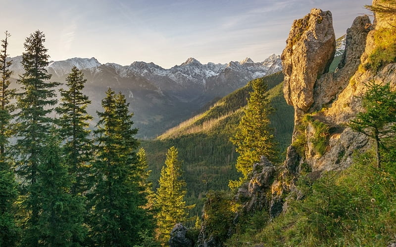 Tatry in Poland, Poland, trees, rock, mountains, HD wallpaper