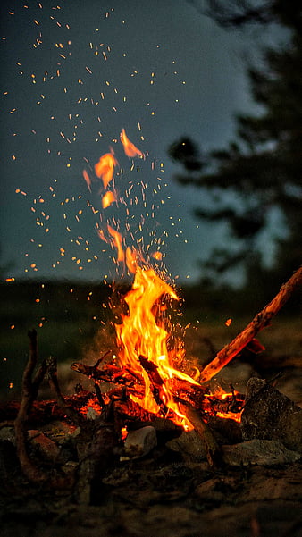 fire, camping, flame, forest nature, wood, HD phone wallpaper