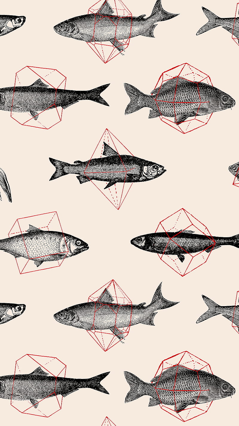 Fishes in Geometrics, Florent, animal, circle, engraving, fish, gravure, pattern, forma, square, triangle, vintage, HD phone wallpaper