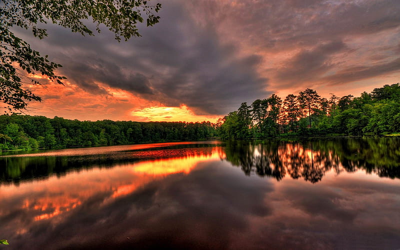 Sunset River Forest Beautiful River Landscape Graphy Hd Wallpaper Peakpx