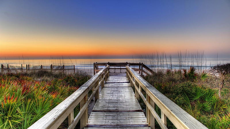 boardwalk in florida r, beach, grass, sunset, boardwalk, sea, HD wallpaper