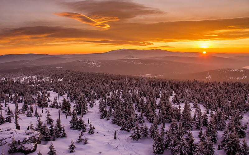 sunset over a vast forest in winter, forest, sunset, winter, mountains, HD wallpaper