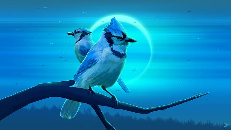 Bluejay Eclipse, moon, eclipse, birds, bluejays, branch, sky, trees, clouds, blue, HD wallpaper