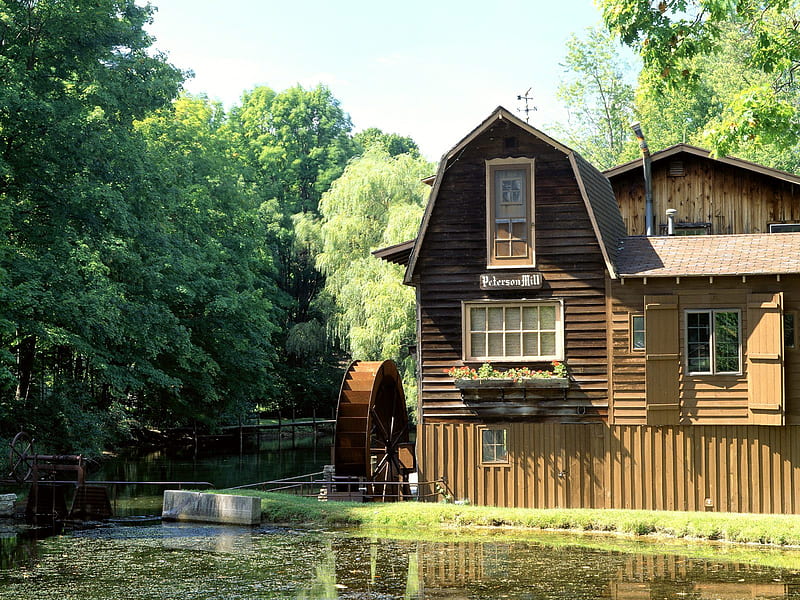 Peterson-Mill, forest, house, water, watermill, mill, saugatuck, michigan, peterson mill, HD wallpaper