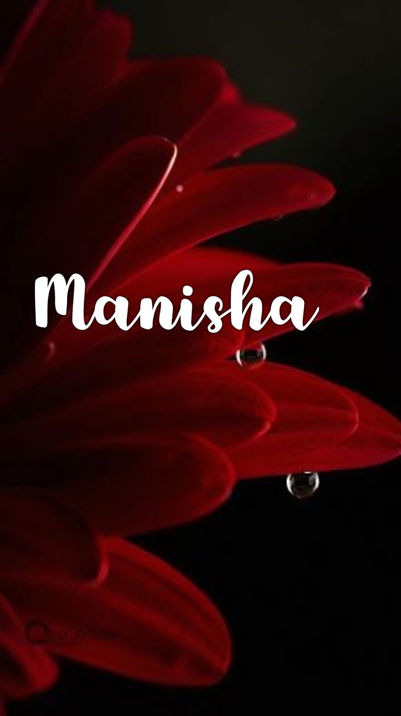 Name, manisha, HD phone wallpaper | Peakpx