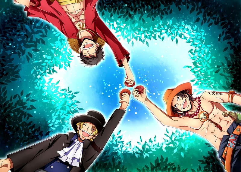 Monkey D Luffy, Sabo (One Piece), One Piece, Portgas D Ace, Anime, HD wallpaper