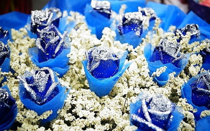 Blue roses, flowers, glitters, rose, blue, HD wallpaper | Peakpx