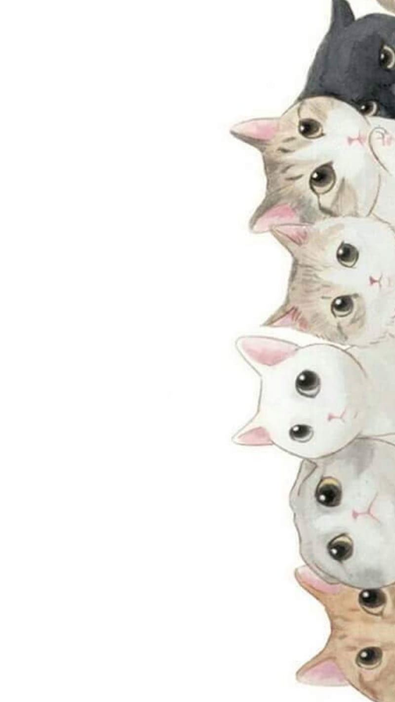 aesthetic #tumblr #gato #fondo  Cute cat wallpaper, Cute cats