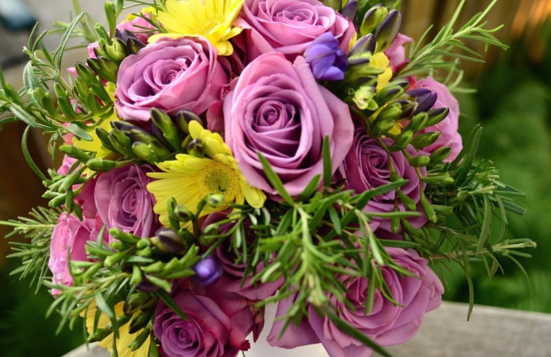 * Cute bouquet *, purple, bouquet, gerbera, flowers, yellow, petals ...
