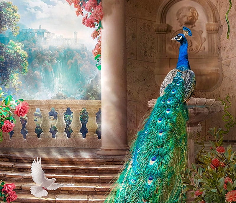 Patio, art, luminos, rose, pasare, tail, peacock, stairs, fantasy, green, bird, feather, flower, lotta-lotos, dove, blue, HD wallpaper
