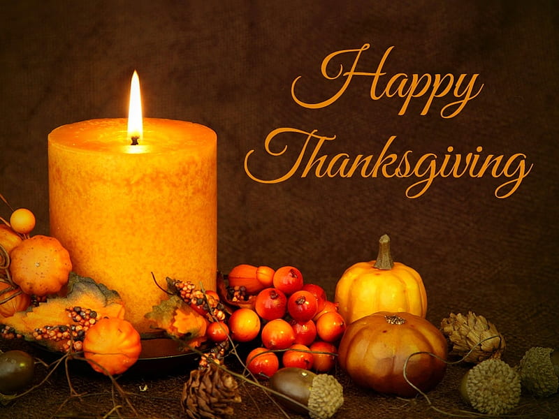 Happy Thanksgiving, candle, gourds, pine cones, still life, Thanksgiving, flame, pumpkin, pinecones, HD wallpaper
