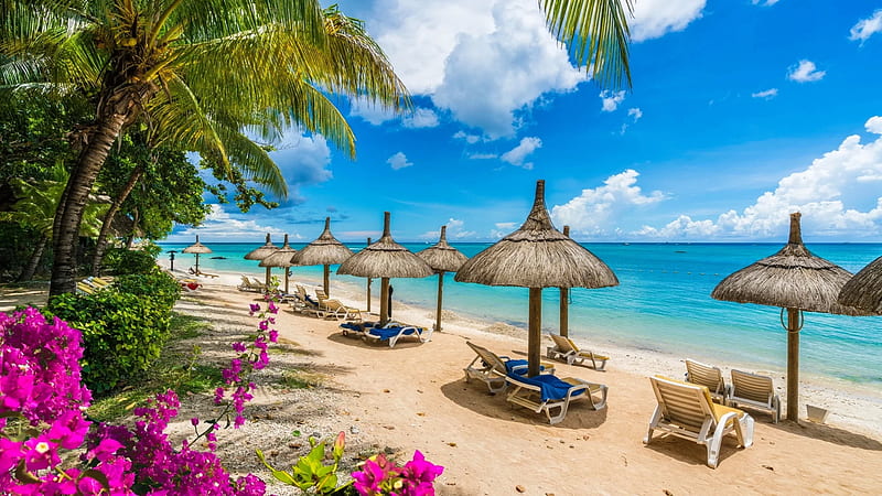 Summer beach, vacation, Africa, Mauritius, ocean, public, sky, sea, beach, lounge, flowers, summer, chairs, island, sands, umbrellas, rest, palms, paradise, HD wallpaper