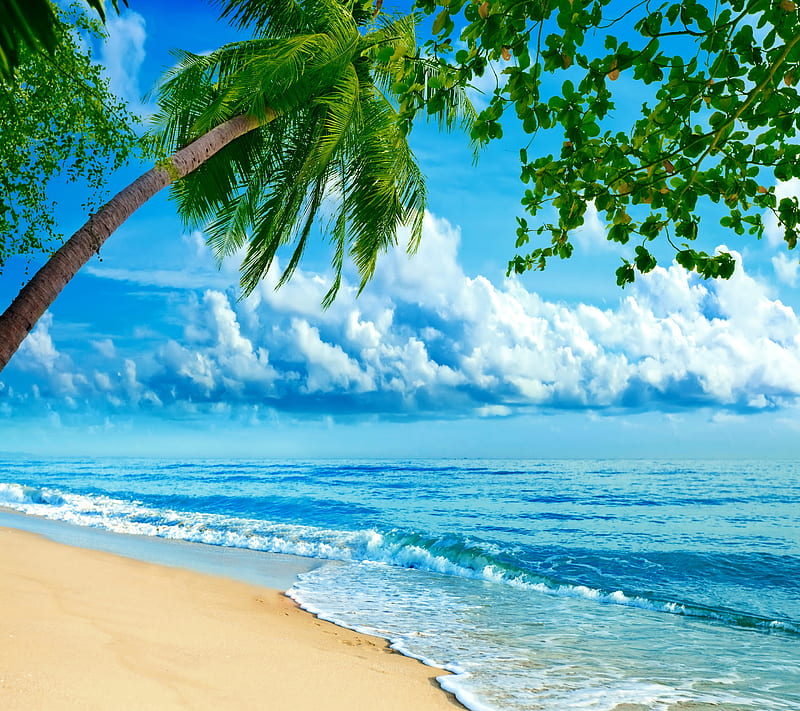 Coastal, beach, ocean, paradise, sea, tropical, HD wallpaper
