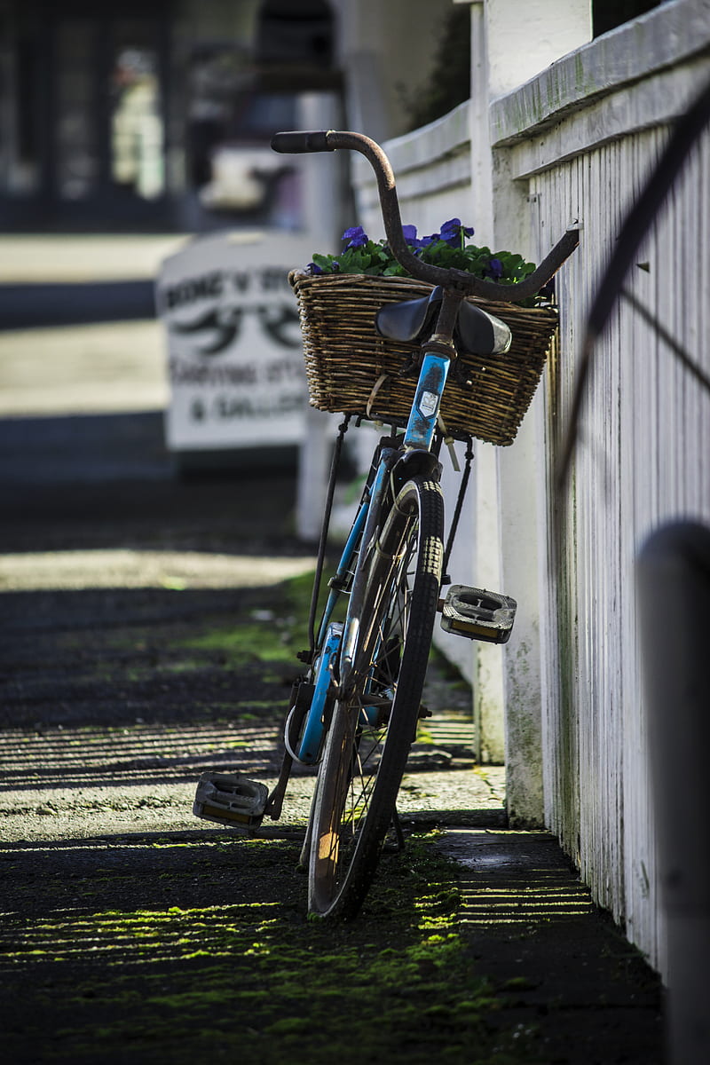 Alone, bycycle, christchurch, flowers, grass, green, nature, newzealand, HD phone wallpaper
