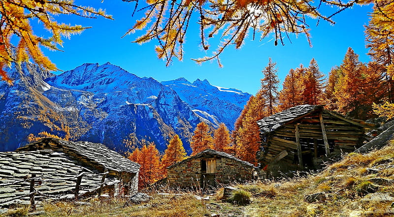 End of the autumn, fall, huts, autumn, view, cottage, bonito, cabin, winter, mountain, hiils, end, village, branches, wooden, landscape, frost, HD wallpaper
