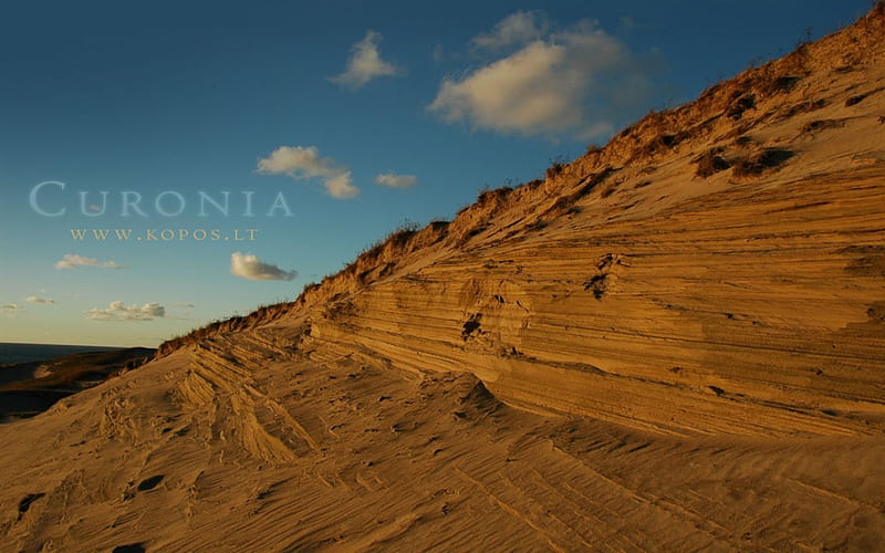 Curonia colors - Dunes, kopos, colors, curonia, dunes, HD wallpaper