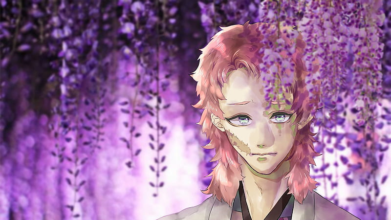 Demon Slayer Sabito With Brown Hair Near Purple Flowers Anime, HD wallpaper