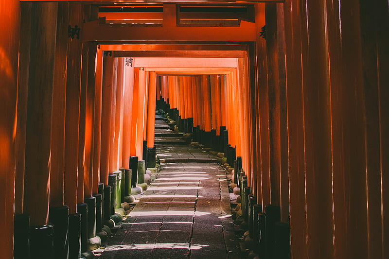 Kyoto Japan tori gate path leading to temple, HD wallpaper