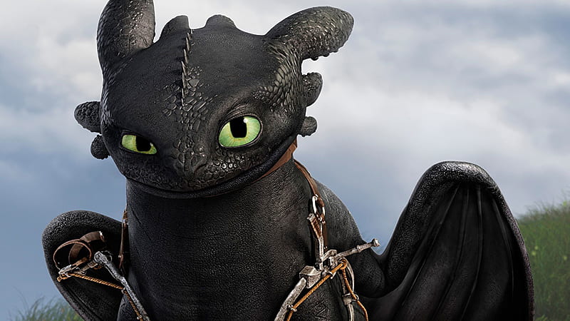  Cómo entrenar a tu dragón dibujos animados de dragón negro, Fondo de pantalla HD