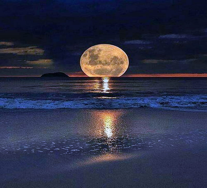 A dip in the ocean, moon, reflection, night, ocean, HD wallpaper