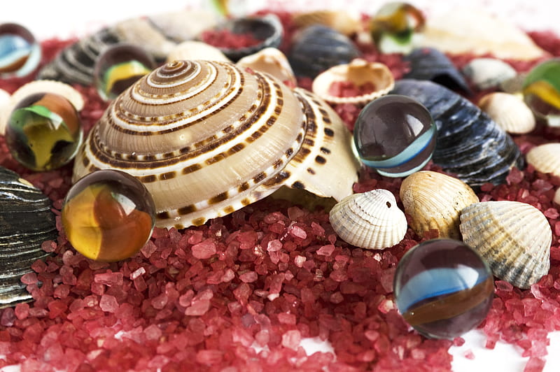 shells, beautiful, bath salts, graphy, nice, cool, beads, harmony, HD wallpaper