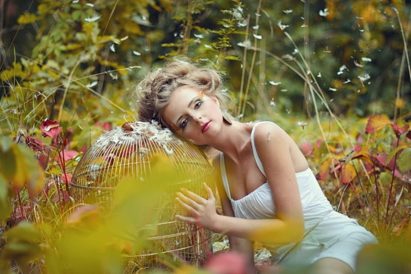 Beautiful Forest Girl, forest, leaves, girl, grass, bird cage, trees, feathers, HD wallpaper