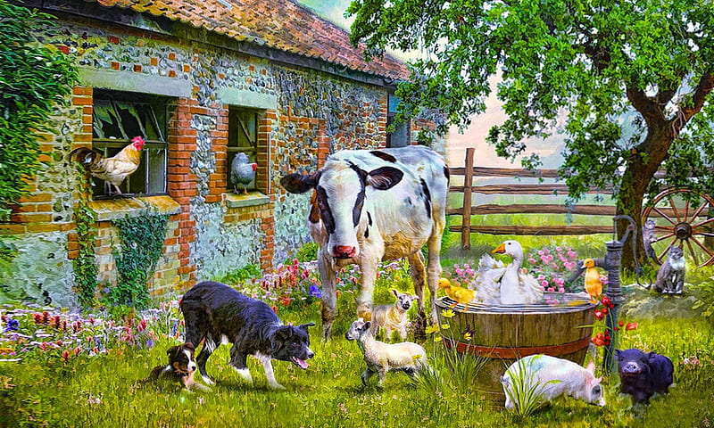 Barnyard Chatter, farm animal, cute, farm, fence, cow, country, Animals, HD  wallpaper | Peakpx