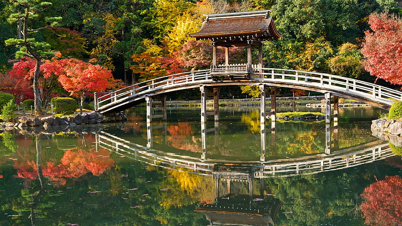 Gazebo Park With Bridge Reflection On Pond During Fall Nature, HD wallpaper