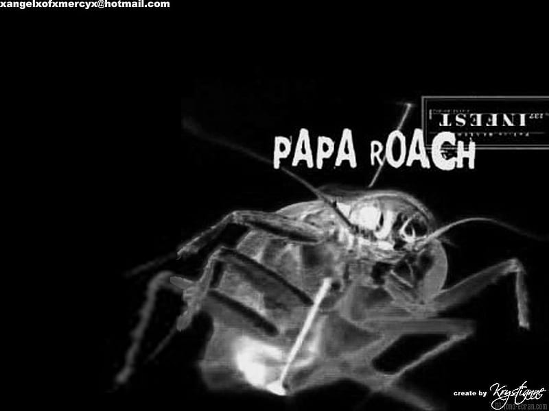 Papa Roach, infest, rock, papa raoch, HD wallpaper