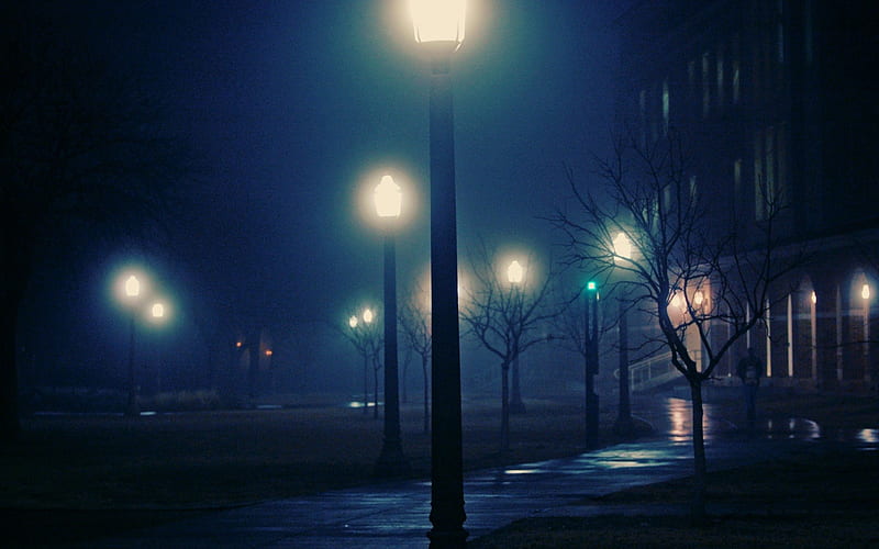 Night Lamp Post, lamp, post, fog, night, mist, HD wallpaper