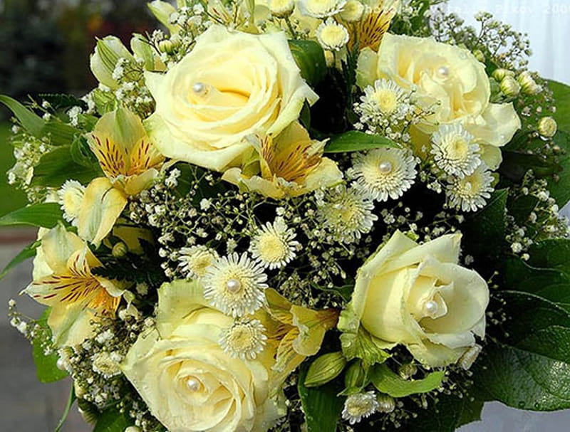 Ramo de rosas amarillas, amarillo, bonito, rosas, regalo, floral, ramo,  flores, Fondo de pantalla HD | Peakpx